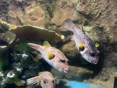 -太平洋海底世界