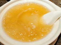 红烧大鲍翅-新同乐鱼翅酒家(美丽华店)