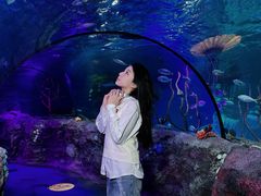 -沈阳海洋探索中心