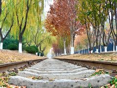 -永定河休闲森林公园