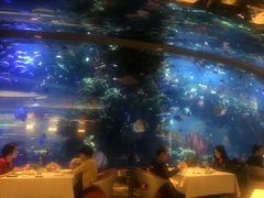 -迪拜帆船酒店海底餐厅