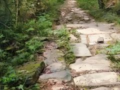 -七曲山风景区