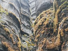 -梭布垭石林景区