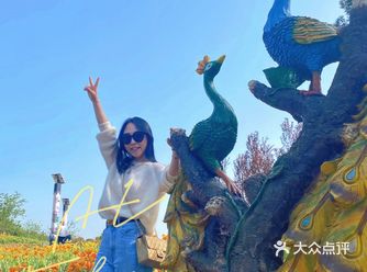 “我不喜欢花，我只喜欢你抱着花朝我走过来的样子”