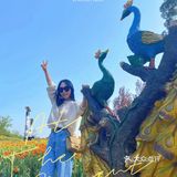 🌸“我不喜欢花，我只喜欢你抱着花朝我走过来的样子”