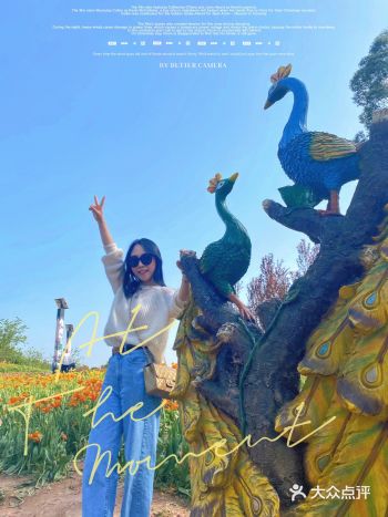 “我不喜欢花，我只喜欢你抱着花朝我走过来的样子”