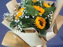 -桂林市花鸟市场