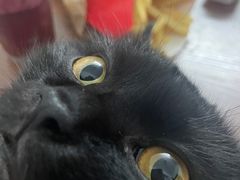 -喜茶(广州中山六路店)