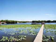 -石家庄市植物园