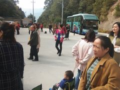 -九龙江国家森林公园