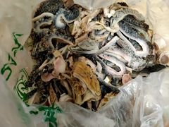 羊肚-洪记白水羊头(天坛店)