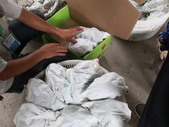 -马陆小张葡萄园农家乐