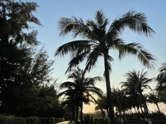 -白沙门生态公园