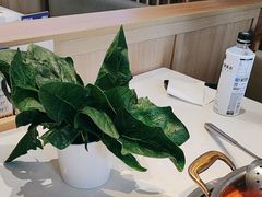 -周师兄大刀腰片火锅(磁器口直营店)