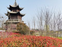 -唐岛湾公园