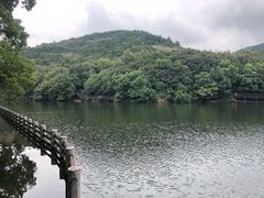 -白马涧龙池景区
