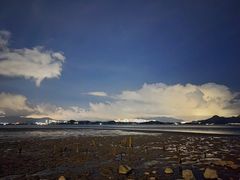-深圳湾公园(南山区)