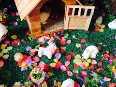 iphone_upload_pic-北京朝阳悠唐皇冠假日酒店