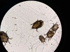 -百信宠物医院(东升街店)