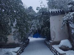 -国家植物园