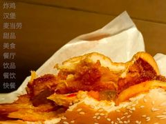 大盘鸡风味麦辣鸡腿汉堡-麦当劳(新洲南路店)