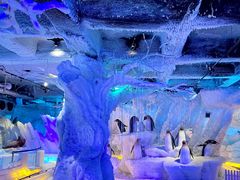 -海合安成都极地海洋公园