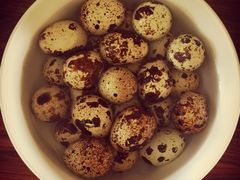 iphone_upload_pic-鸿港海鲜批发市场