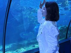 -蓬莱欧乐堡海洋极地世界