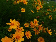 -眉山湿地公园(东坡区)