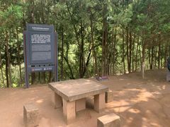 -延安杨家岭革命旧址