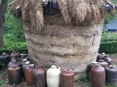 -金山农民画村-枫泾波兰倒置屋