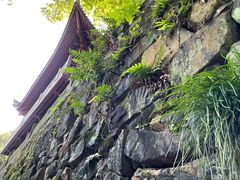 -韬光茶庵