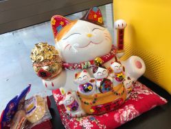 -摩睫+皮肤管理·科学美容中心