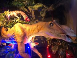 -恐龙探索乐园(磁器口店)