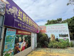 -荔枝红五号农庄