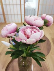 -盼兮·日式美睫沙龙