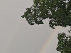 -长广溪湿地公园