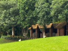 -硅谷蒙学幼儿园