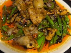-陈麻婆豆腐总店