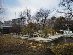 -莲湖公园