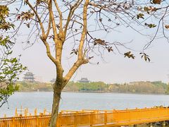-海珠湖公园
