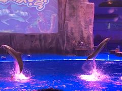 -华夏文旅海洋公园