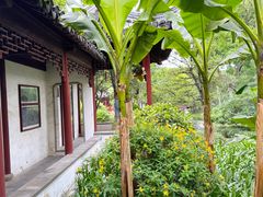 -秋霞圃