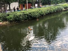 -长白岛森林公园