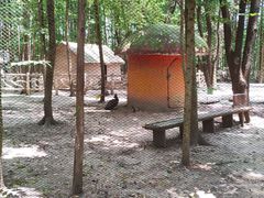 -昆山城市生态森林公园