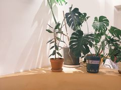 -fishtank鱼缸咖啡(三山街店)