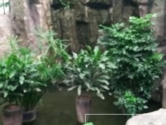 -滕头生态酒店(奉化店)