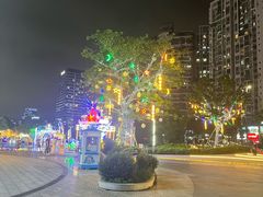 -宝安西湾红树林湿地公园