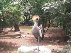 -黔灵山公园