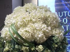 -优客城市奥莱